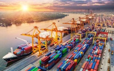 Cargo Laut Murah Jayapura Jakarta Termurah di Jasa Ekspedisi